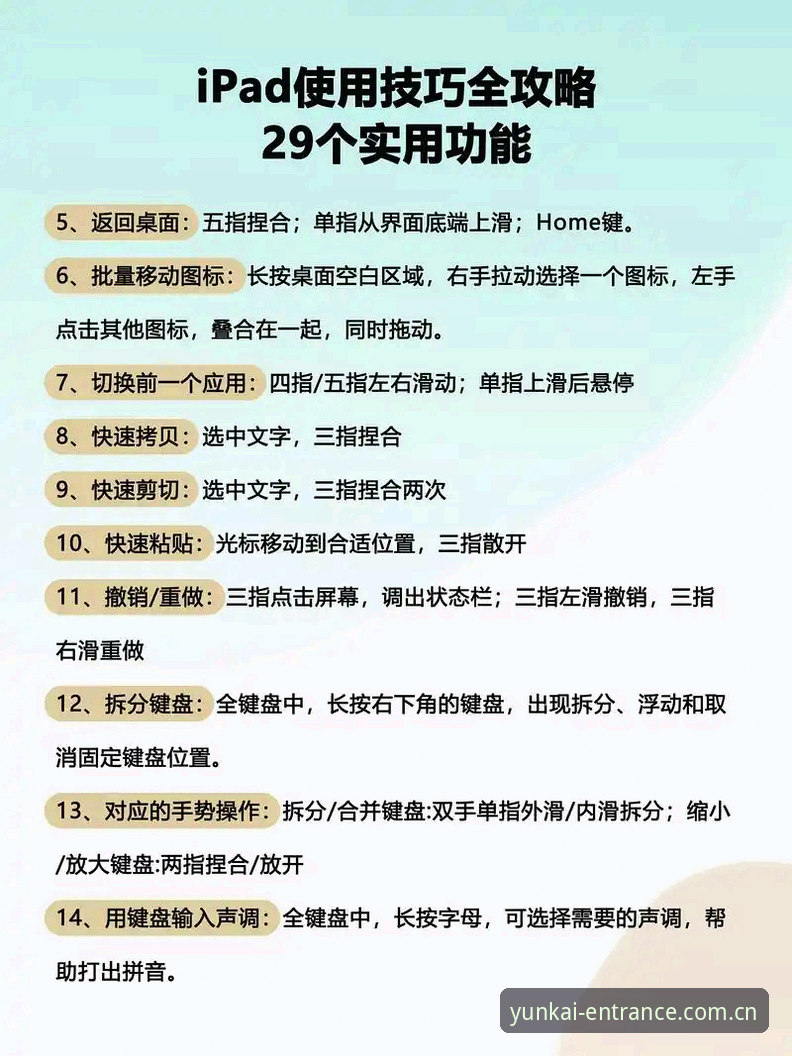 云开平台使用教程使用技巧如何让体育互动体验更高效？从入门到精通必须掌握的5个秘诀